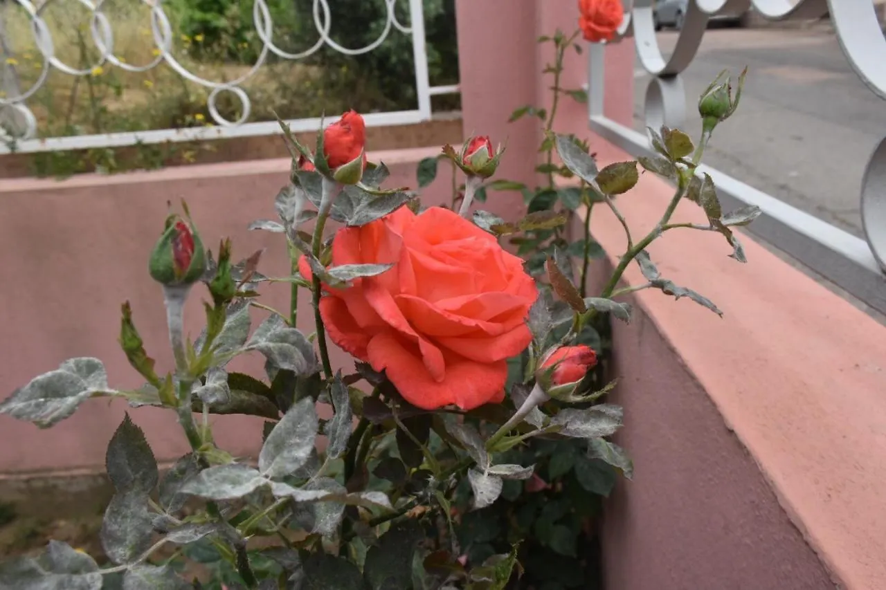 Bed and Breakfast Sa Mariposa Muravera Bed & Breakfast