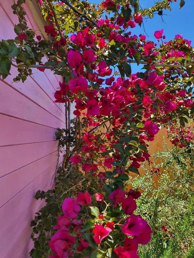 Bed & Breakfast Bed and Breakfast Sa Mariposa Muravera Italia